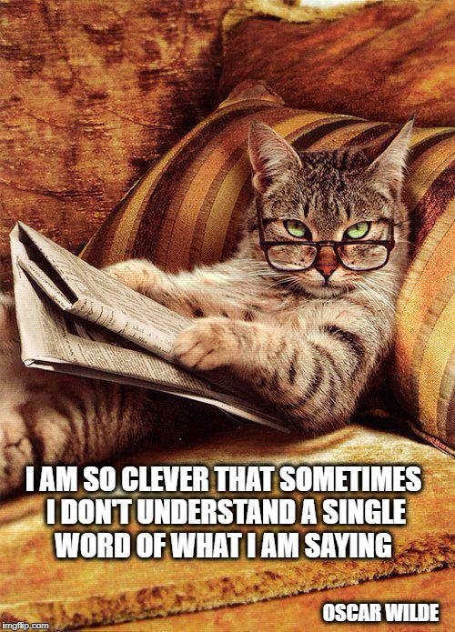 I AM SO CLEVER THAT SOMETIMES I DON'T UNDERSTAND A SINGLE WORD OF WHAT I AM SAYING; OSCAR WILDE | image tagged in genius,clever,cat,i should buy a boat cat | made w/ Imgflip meme maker
