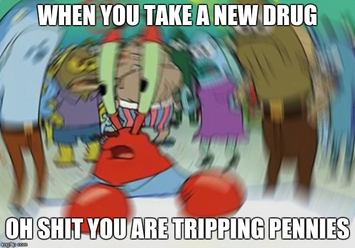 Mr Krabs Blur Meme Meme | WHEN YOU TAKE A NEW DRUG; OH SHIT YOU ARE TRIPPING PENNIES | image tagged in memes,mr krabs blur meme | made w/ Imgflip meme maker