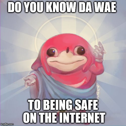 Do you know da wae | DO YOU KNOW DA WAE; TO BEING SAFE ON THE INTERNET | image tagged in do you know da wae | made w/ Imgflip meme maker