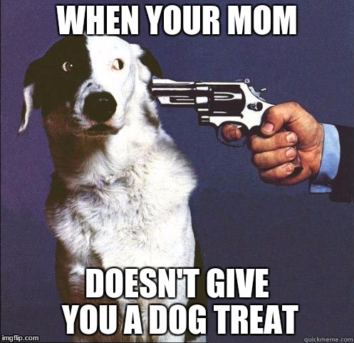 Shoot Dog | WHEN YOUR MOM; DOESN'T GIVE YOU A DOG TREAT | image tagged in shoot dog | made w/ Imgflip meme maker