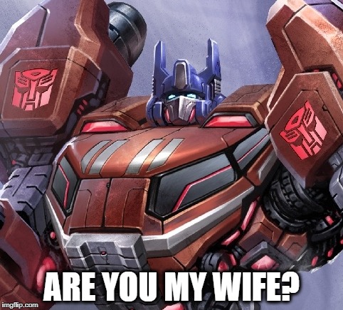 FoC Optimus his wife? | ARE YOU MY WIFE? | image tagged in memes | made w/ Imgflip meme maker
