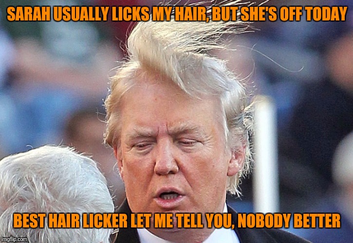 SARAH USUALLY LICKS MY HAIR, BUT SHE'S OFF TODAY BEST HAIR LICKER LET ME TELL YOU, NOBODY BETTER | made w/ Imgflip meme maker