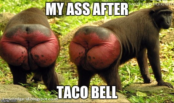 MY ASS AFTER; TACO BELL | image tagged in meme maker | made w/ Imgflip meme maker