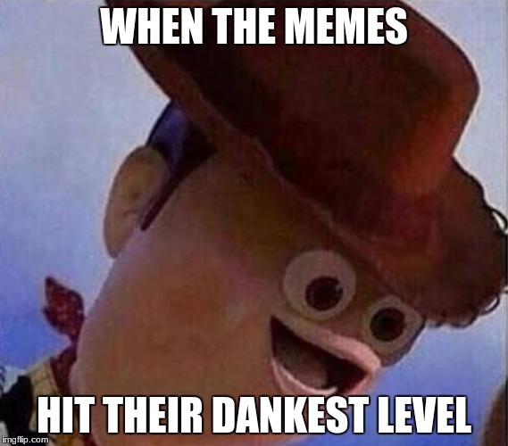 Them spoicy memes are the BEST | WHEN THE MEMES; HIT THEIR DANKEST LEVEL | image tagged in derp woody,memes,dank memes,funny | made w/ Imgflip meme maker