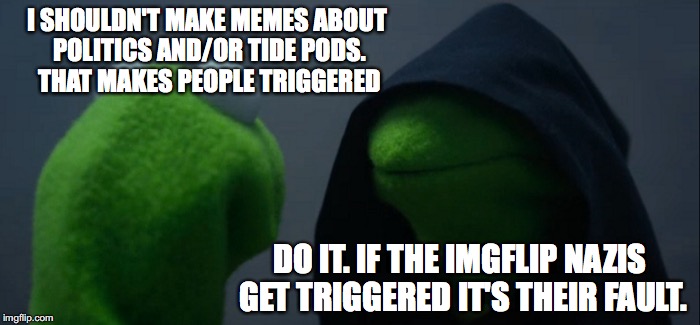 Evil Kermit | I SHOULDN'T MAKE MEMES ABOUT POLITICS AND/OR TIDE PODS. THAT MAKES PEOPLE TRIGGERED; DO IT. IF THE IMGFLIP NAZIS GET TRIGGERED IT'S THEIR FAULT. | image tagged in memes,evil kermit,funny,imgflip,tide pods,political memes | made w/ Imgflip meme maker