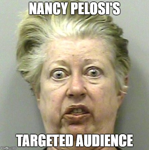 over 7 hours of Nancy Pelosi | NANCY PELOSI'S; TARGETED AUDIENCE | image tagged in nancy pelosi,democrats,funny,politics,political | made w/ Imgflip meme maker