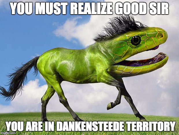 WATCH OUT FOR THE DANKENSTEEDE | YOU MUST REALIZE GOOD SIR; YOU ARE IN DANKENSTEEDE TERRITORY | image tagged in memes | made w/ Imgflip meme maker