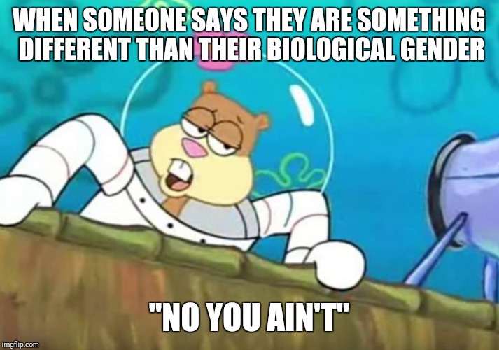 No you ain't | WHEN SOMEONE SAYS THEY ARE SOMETHING DIFFERENT THAN THEIR BIOLOGICAL GENDER; "NO YOU AIN'T" | image tagged in spongebob | made w/ Imgflip meme maker