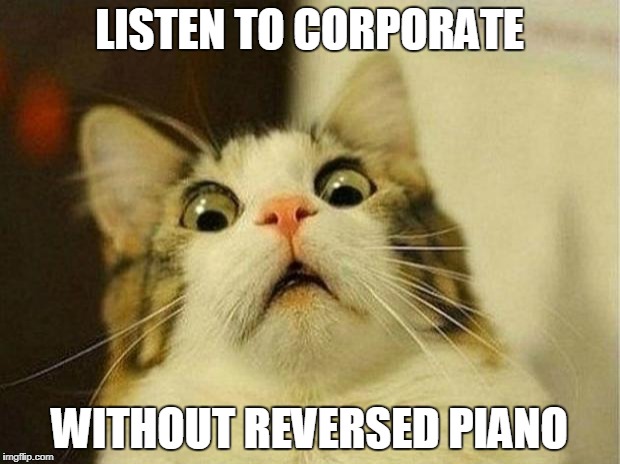 Scared Cat Meme | LISTEN TO CORPORATE; WITHOUT REVERSED PIANO | image tagged in memes,scared cat | made w/ Imgflip meme maker
