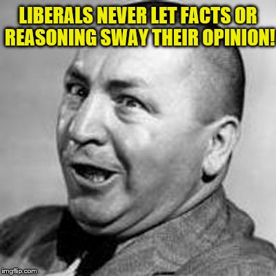 Liberal Never Let Facts or Reasoning Sway Their Opinion! | LIBERALS NEVER LET FACTS OR REASONING SWAY THEIR OPINION! | image tagged in liberal logic,liberals,political meme,memes,liberal lunacy,the religion of liberalism | made w/ Imgflip meme maker