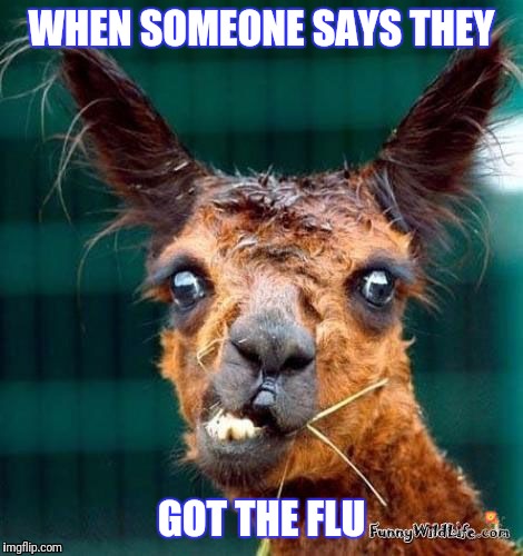 WHEN SOMEONE SAYS THEY; GOT THE FLU | image tagged in flu | made w/ Imgflip meme maker