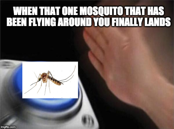 Them darn skeeters | WHEN THAT ONE MOSQUITO THAT HAS BEEN FLYING AROUND YOU FINALLY LANDS | image tagged in memes,blank nut button,god,political meme,star wars yoda,shrek | made w/ Imgflip meme maker