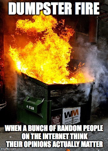dumpster fire | DUMPSTER FIRE; WHEN A BUNCH OF RANDOM PEOPLE ON THE INTERNET THINK THEIR OPINIONS ACTUALLY MATTER | image tagged in dumpster fire | made w/ Imgflip meme maker