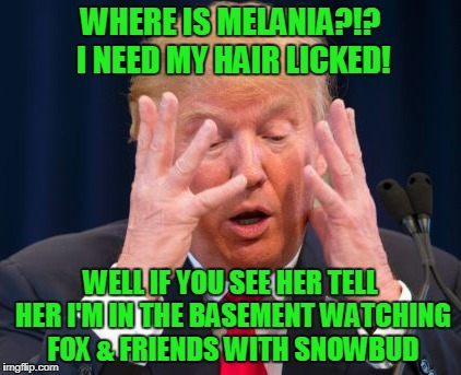 WHERE IS MELANIA?!? I NEED MY HAIR LICKED! WELL IF YOU SEE HER TELL HER I'M IN THE BASEMENT WATCHING FOX & FRIENDS WITH SNOWBUD | made w/ Imgflip meme maker