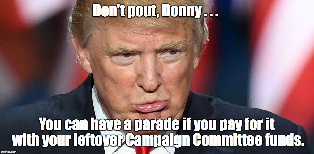 He's been saving his allowance . . . | Don't pout, Donny . . . You can have a parade if you pay for it with your leftover Campaign Committee funds. | image tagged in i wanna parade trump,parade,trump | made w/ Imgflip meme maker