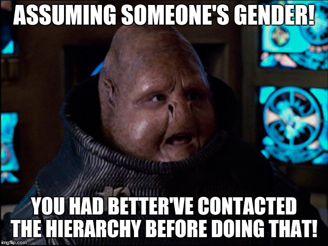 Overlooker Meme | ASSUMING SOMEONE'S GENDER! YOU HAD BETTER'VE CONTACTED THE HIERARCHY BEFORE DOING THAT! | image tagged in overlooker meme | made w/ Imgflip meme maker