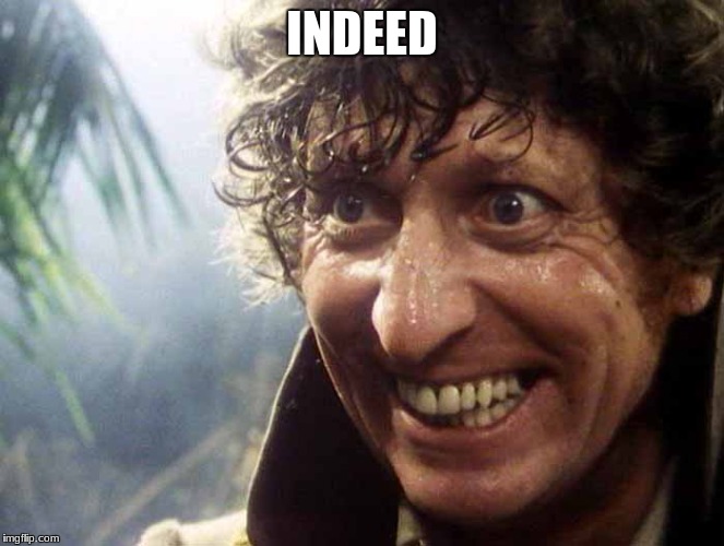 Excited 4th Doctor | INDEED | image tagged in excited 4th doctor | made w/ Imgflip meme maker