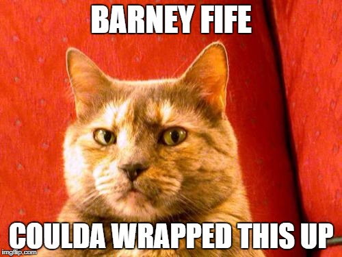 Suspicious Cat Meme | BARNEY FIFE; COULDA WRAPPED THIS UP | image tagged in memes,suspicious cat | made w/ Imgflip meme maker