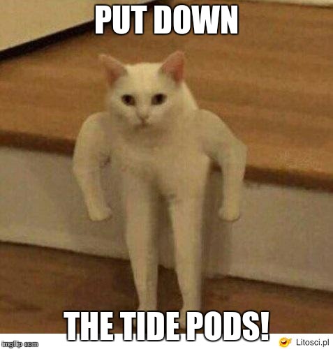 Buff Half Cat | PUT DOWN THE TIDE PODS! | image tagged in buff half cat | made w/ Imgflip meme maker