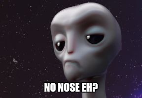 Grumpy Alien | NO NOSE EH? | image tagged in grumpy alien | made w/ Imgflip meme maker