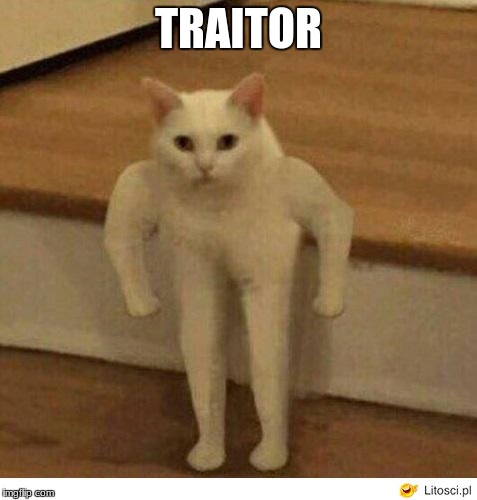 Buff Half Cat | TRAITOR | image tagged in buff half cat | made w/ Imgflip meme maker