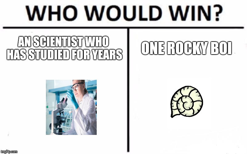 Who Would Win? | AN SCIENTIST WHO HAS STUDIED FOR YEARS; ONE ROCKY BOI | image tagged in memes,who would win | made w/ Imgflip meme maker