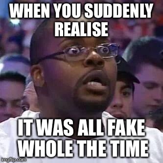 The New Face of the WWE after Wrestlemania 30 | WHEN YOU SUDDENLY REALISE; IT WAS ALL FAKE WHOLE THE TIME | image tagged in the new face of the wwe after wrestlemania 30 | made w/ Imgflip meme maker