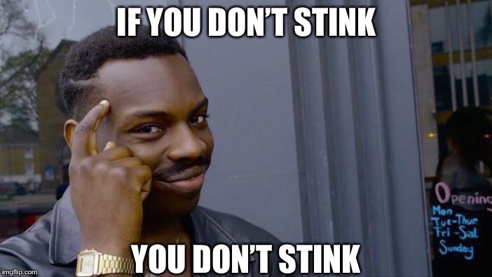 Roll Safe Think About It | IF YOU DON’T STINK; YOU DON’T STINK | image tagged in memes,roll safe think about it | made w/ Imgflip meme maker