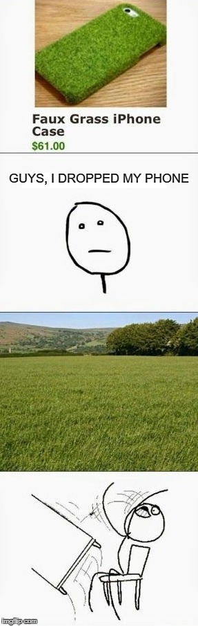 Grass iPhone |  GUYS, I DROPPED MY PHONE | image tagged in memes,iphone,grass,table flip guy | made w/ Imgflip meme maker