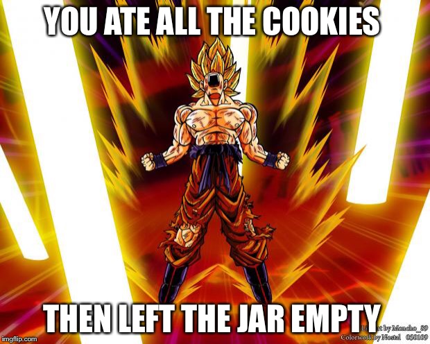 Goku DBZ Wikia Becky Hijabi | YOU ATE ALL THE COOKIES; THEN LEFT THE JAR EMPTY | image tagged in goku dbz wikia becky hijabi | made w/ Imgflip meme maker