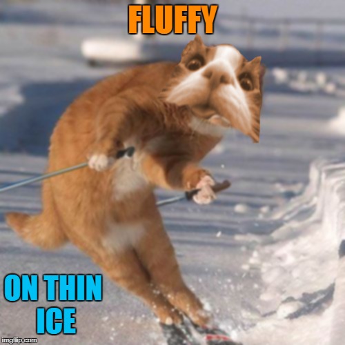 Fluffy in Pyeongchang - the skiing competition started poorly... and went downhill fast! | FLUFFY; ON THIN ICE | image tagged in memes,fluffy,pyeongchang,skiing | made w/ Imgflip meme maker