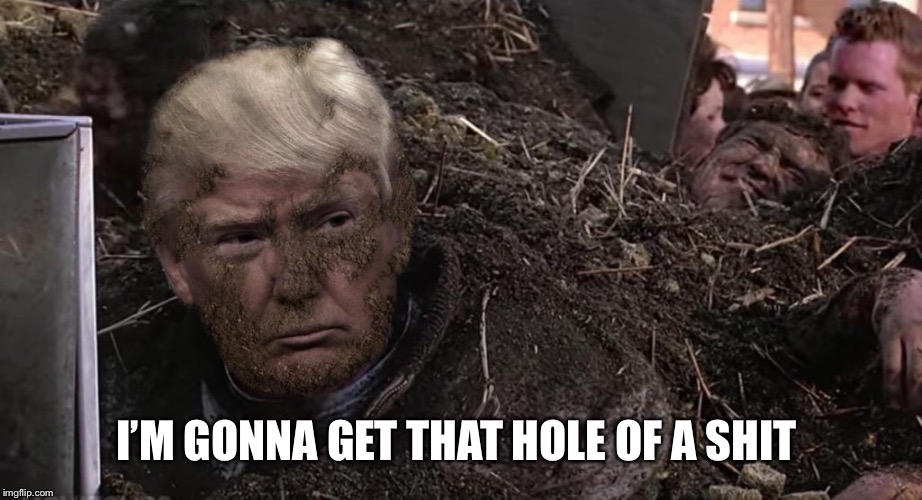Trump To The Pooper  | I’M GONNA GET THAT HOLE OF A SHIT | image tagged in donald trump,biff tannen,shithole | made w/ Imgflip meme maker