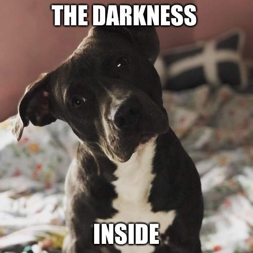 Raydogs Darkside | THE DARKNESS; INSIDE | image tagged in raydog a darkside,raydog,dogs,animals,funny,memes | made w/ Imgflip meme maker