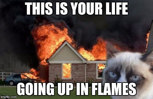 Burn baby, Burn! | THIS IS YOUR LIFE; GOING UP IN FLAMES | image tagged in memes,burn kitty,grumpy cat,no life | made w/ Imgflip meme maker
