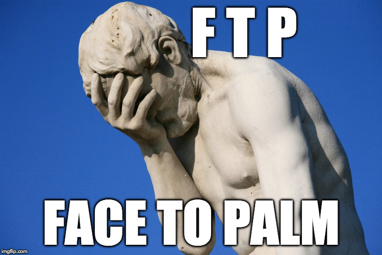 Free To Play Meaning, FTP | F T P; FACE TO PALM | image tagged in facepalm | made w/ Imgflip meme maker