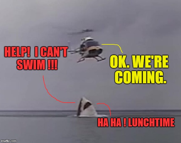 Shark Pranks | HELP!  I CAN'T SWIM !!! OK. WE'RE COMING. HA HA ! LUNCHTIME | image tagged in funny memes,shark,helicopter | made w/ Imgflip meme maker