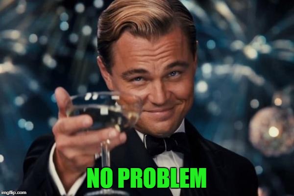 Leonardo Dicaprio Cheers Meme | NO PROBLEM | image tagged in memes,leonardo dicaprio cheers | made w/ Imgflip meme maker