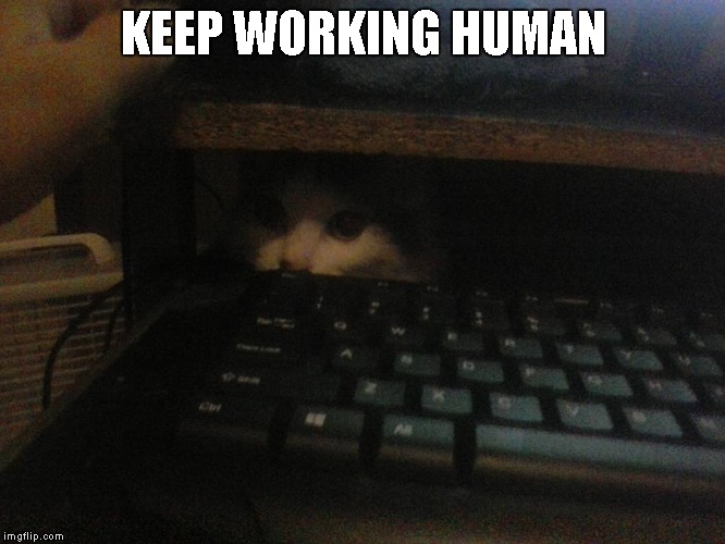 KEEP WORKING HUMAN | made w/ Imgflip meme maker