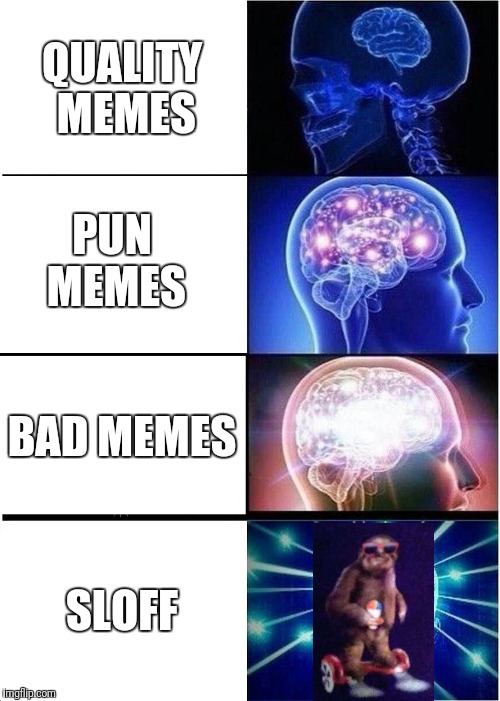 humor these days | QUALITY MEMES; PUN MEMES; BAD MEMES; SLOFF | image tagged in memes,expanding brain | made w/ Imgflip meme maker