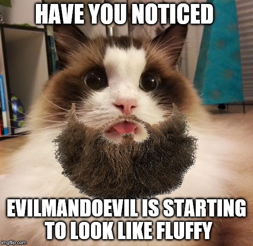 HAVE YOU NOTICED EVILMANDOEVIL IS STARTING TO LOOK LIKE FLUFFY | made w/ Imgflip meme maker