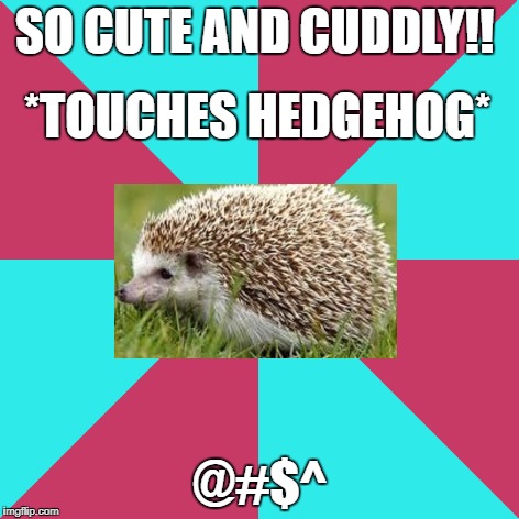 SO CUTE AND CUDDLY!! *TOUCHES HEDGEHOG*; @#$^ | image tagged in pink and blue genaric background | made w/ Imgflip meme maker