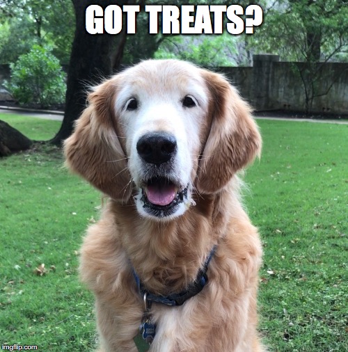 GOT TREATS? | made w/ Imgflip meme maker