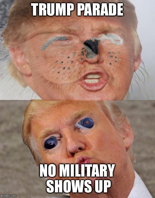 tssvt | TRUMP PARADE NO MILITARY SHOWS UP | image tagged in tssvt | made w/ Imgflip meme maker