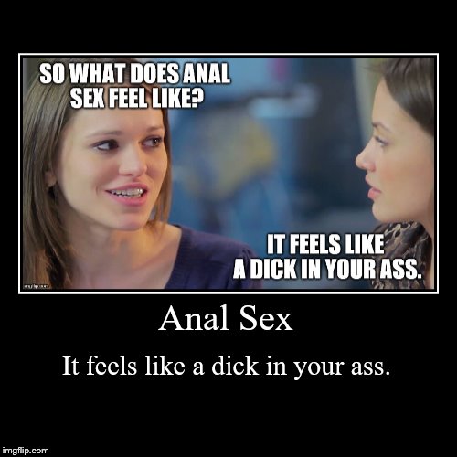 Funny Anal Memes