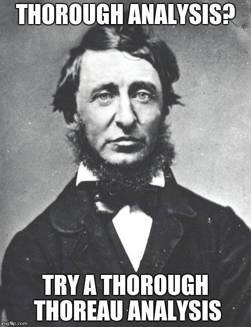 Henry David Thoreau | THOROUGH ANALYSIS? TRY A THOROUGH THOREAU ANALYSIS | image tagged in memes,henry david thoreau | made w/ Imgflip meme maker