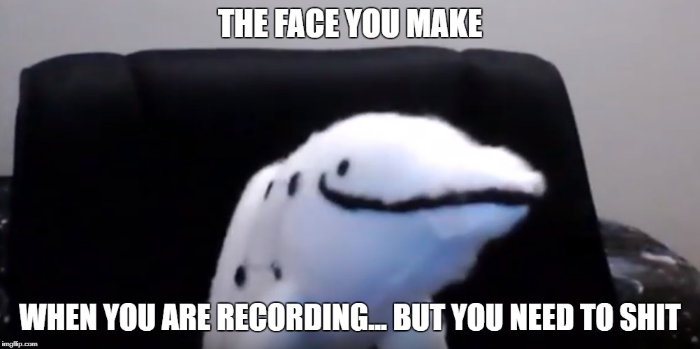 Delphinus Airways  | THE FACE YOU MAKE; WHEN YOU ARE RECORDING... BUT YOU NEED TO SHIT | image tagged in dolphin | made w/ Imgflip meme maker