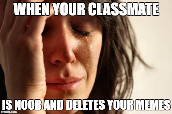 First World Problems |  WHEN YOUR CLASSMATE; IS NOOB AND DELETES YOUR MEMES | image tagged in memes,first world problems | made w/ Imgflip meme maker
