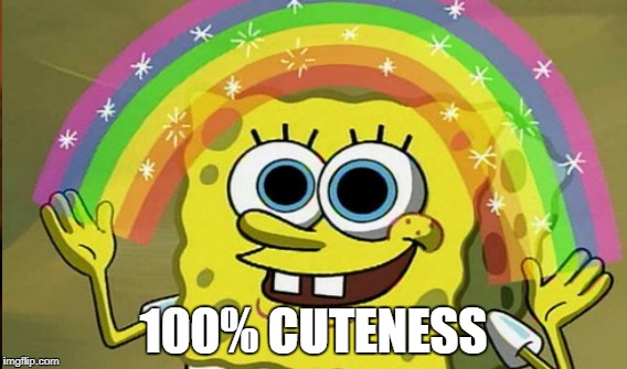 100% CUTENESS | made w/ Imgflip meme maker