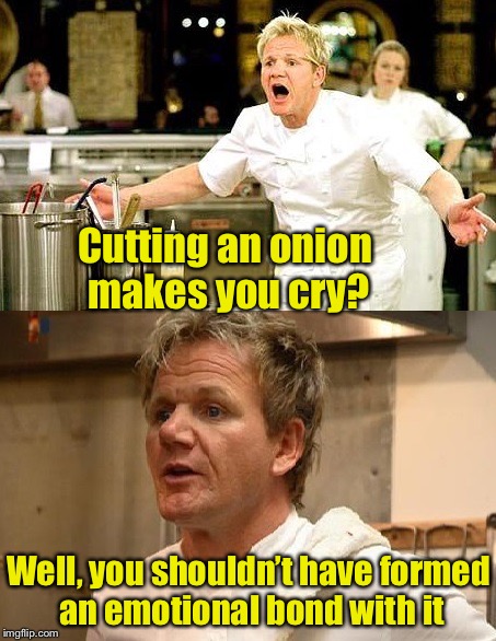 The trick to cutting onions |  Cutting an onion makes you cry? Well, you shouldn’t have formed an emotional bond with it | image tagged in gordon ramsey is sorry,memes,onion,gordon ramsey,cutting,crying | made w/ Imgflip meme maker