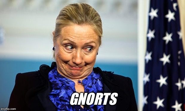 Hillary Gonna Be Sick | GNORTS | image tagged in hillary gonna be sick | made w/ Imgflip meme maker